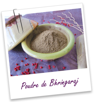 Poudre Ayurvédique De Bhringaraj - 250g