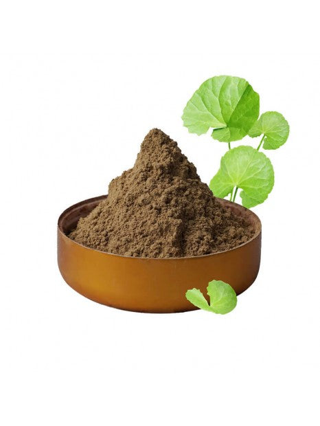 Poudre Ayurvédique De Brahmi - 250g